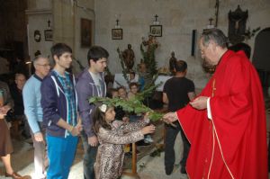 PROCESION DOMINGO DE RAMOS 2014