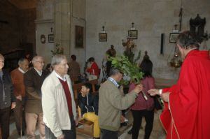 PROCESION DOMINGO DE RAMOS 2014