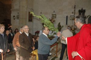 PROCESION DOMINGO DE RAMOS 2014