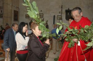 PROCESION DOMINGO DE RAMOS 2014