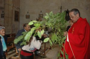 PROCESION DOMINGO DE RAMOS 2014