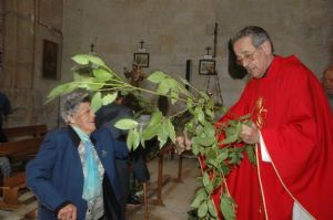 PROCESION DOMINGO DE RAMOS 2014