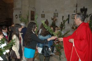 PROCESION DOMINGO DE RAMOS 2014