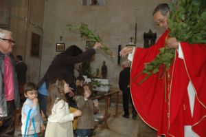 PROCESION DOMINGO DE RAMOS 2014