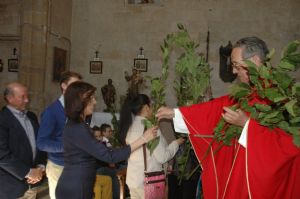 PROCESION DOMINGO DE RAMOS 2014