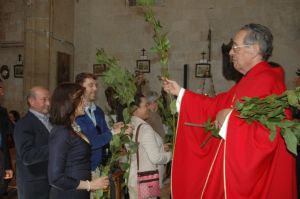 PROCESION DOMINGO DE RAMOS 2014