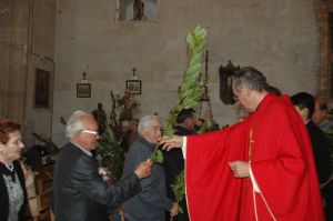 PROCESION DOMINGO DE RAMOS 2014