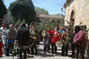 PROCESION DOMINGO DE RAMOS 2014