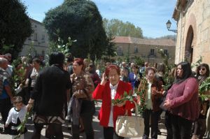 PROCESION DOMINGO DE RAMOS 2014