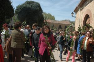 PROCESION DOMINGO DE RAMOS 2014