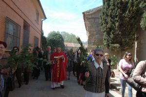 PROCESION DOMINGO DE RAMOS 2014