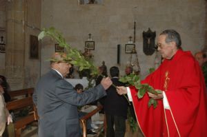 PROCESION DOMINGO DE RAMOS 2014