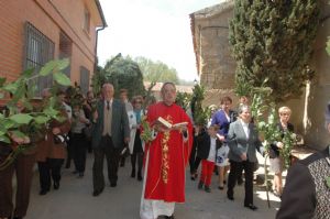 PROCESION DOMINGO DE RAMOS 2014