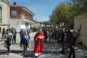 PROCESION DOMINGO DE RAMOS 2014