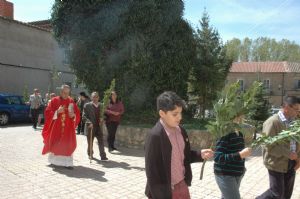 PROCESION DOMINGO DE RAMOS 2014