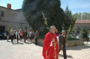 PROCESION DOMINGO DE RAMOS 2014