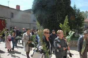 PROCESION DOMINGO DE RAMOS 2014