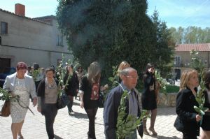 PROCESION DOMINGO DE RAMOS 2014