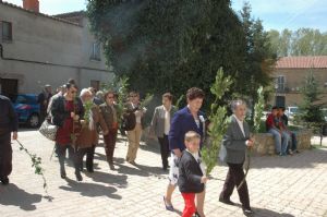 PROCESION DOMINGO DE RAMOS 2014