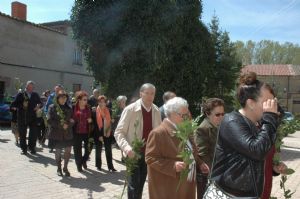 PROCESION DOMINGO DE RAMOS 2014