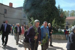 PROCESION DOMINGO DE RAMOS 2014