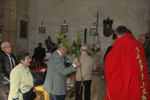 PROCESION DOMINGO DE RAMOS 2014