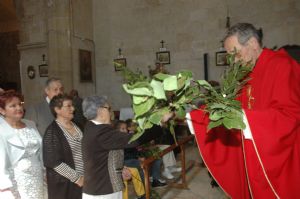 PROCESION DOMINGO DE RAMOS 2014