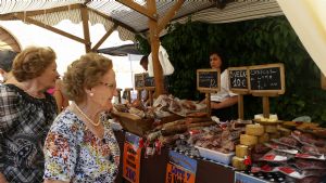 FIESTAS EN HONOR DE  NTRA. SEÑORA DE LA ASUNCIÓN Y SAN ROQUE 2016.