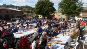 XIV FIESTA DE LA VENDIMIA. VENIALBO 2016