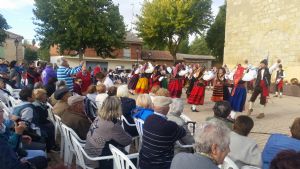 XIV FIESTA DE LA VENDIMIA. VENIALBO 2016