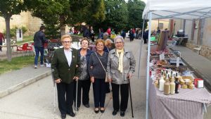 XIV FIESTA DE LA VENDIMIA. VENIALBO 2016