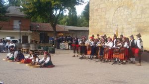 XIV FIESTA DE LA VENDIMIA. VENIALBO 2016