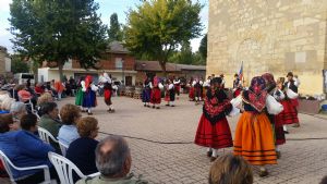 XIV FIESTA DE LA VENDIMIA. VENIALBO 2016