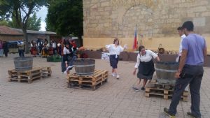 XIV FIESTA DE LA VENDIMIA. VENIALBO 2016