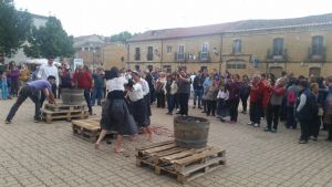 XIV FIESTA DE LA VENDIMIA. VENIALBO 2016