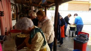 XIV FIESTA DE LA VENDIMIA. VENIALBO 2016