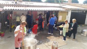 XIV FIESTA DE LA VENDIMIA. VENIALBO 2016