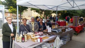 XIV FIESTA DE LA VENDIMIA. VENIALBO 2016