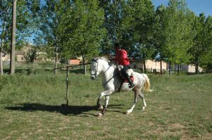 FESTIVIDAD DE SANTA CRUZ EN VENIALBO