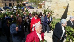 DOMINGO DE RAMOS EN VENIALBO. 2017