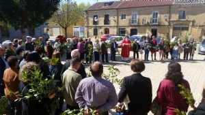 DOMINGO DE RAMOS EN VENIALBO. 2017