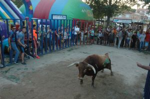 FIESTAS EN HONOR DE  NTRA. SEÑORA DE LA ASUNCIÓN Y SAN ROQUE 2016.