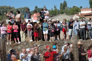 ENCIERROS SAN ROQUE 2014