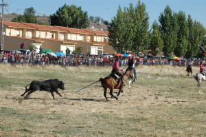 ENCIERROS SAN ROQUE 2014