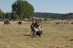 ENCIERROS SAN ROQUE 2014