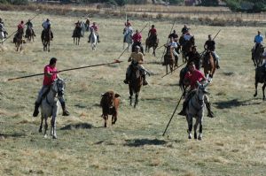 ENCIERROS SAN ROQUE 2014