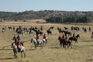 ENCIERROS SAN ROQUE 2014