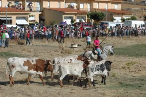 ENCIERROS SAN ROQUE 2014