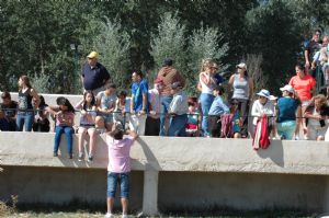 ENCIERROS SAN ROQUE 2014