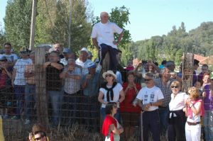 ENCIERROS SAN ROQUE 2014